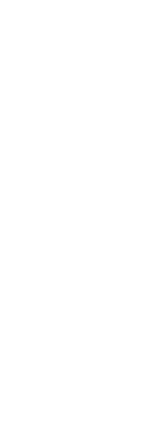 logo vertical